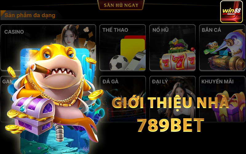 Tổng quan nhà cái 789bet
