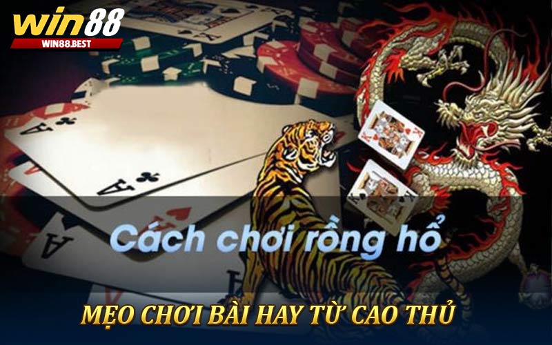Mẹo chơi bài rồng hổ bất bại từ cao thủ